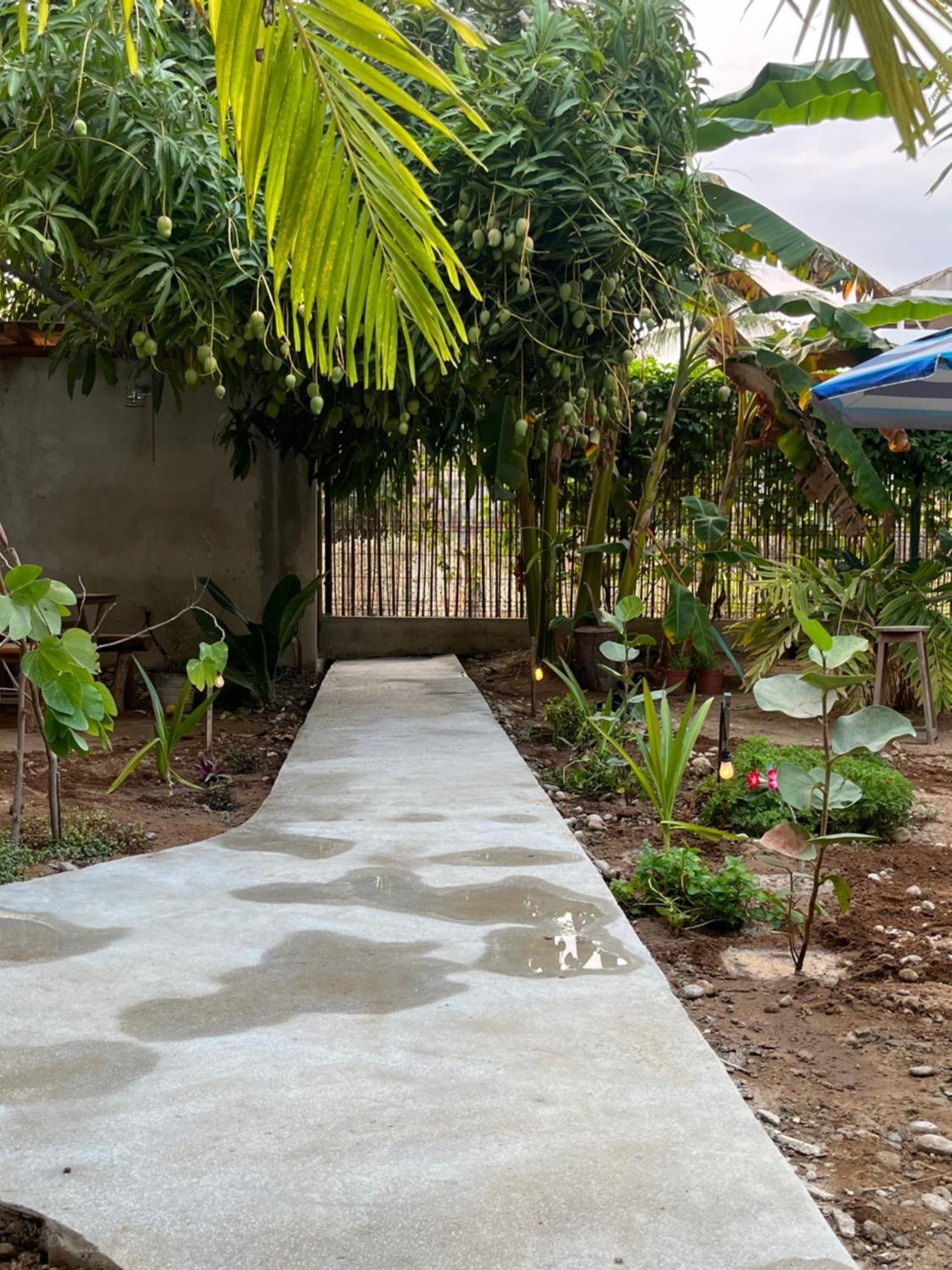 Agua De Coco Apartment Puerto Escondido  Ngoại thất bức ảnh